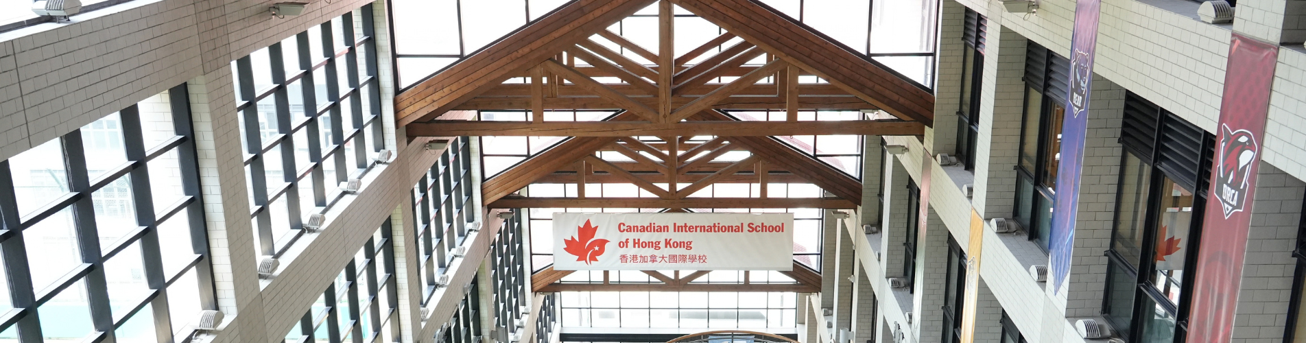spine