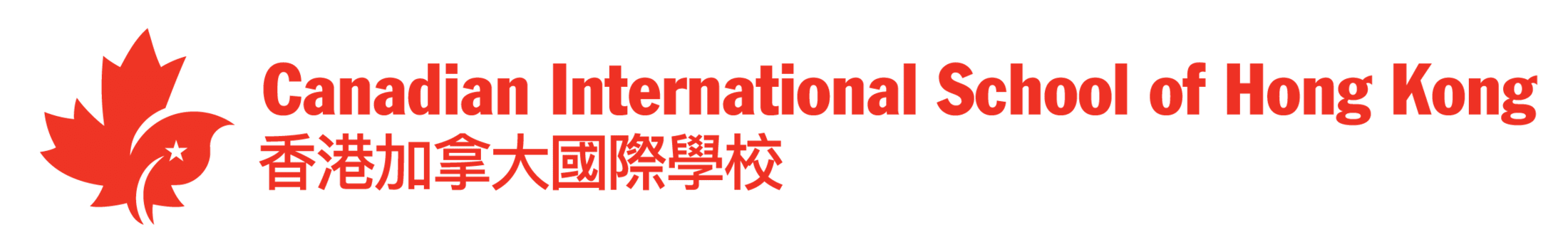 The image displays the text %22International School%22 in large red letters, with Chinese characters below it.
